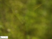 VIXEN -  A true swinger couple shares everything