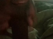 Big nut  - Screenshot 1 of 16 - HD