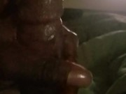 Big nut  - Screenshot 3 of 16 - Nj