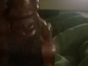 Big nut  - Screenshot 6 of 16 - HD