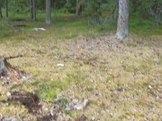 Мой друг мастурбирует в общественном месте в лесу - Screenshot 16 of 16 - HD