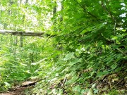 Smoking Hiker Puts On A Menstrual Pad 16/16