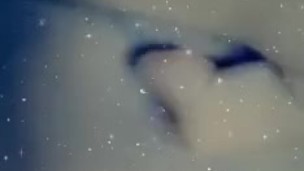 Tetas y vagina