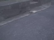 【無】やっと会えたね ～会えない夜は自分でシテたの～ パート1 2/16