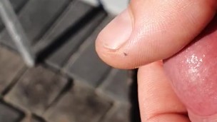 HD Closeup Precum Play
