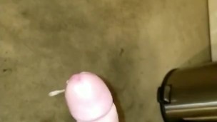 Cummin in the garage 