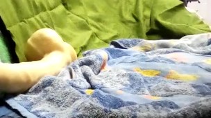 Toy time for pup fen