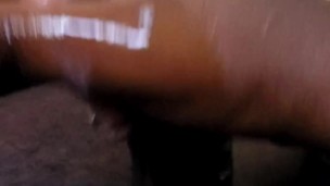 BBC GETS DRAINED 