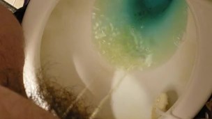 Blue plus yellow is a tint of green - trans piss