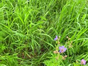 Public adventures #2 Blowjob, Doggystyle and Creampie. LeoKleo 2/16