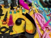 Our toy collection. Comment suggestions for what toys and how you want them used in our next video 10/16