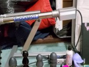 Our toy collection. Comment suggestions for what toys and how you want them used in our next video 8/16