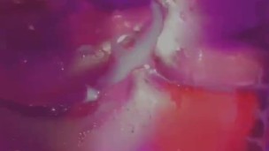 Kitten's cum