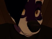 POV Furry Sex 11/16