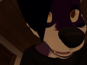 POV Furry Sex 4/16
