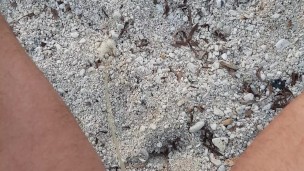 Pisciata in pubblico sulla spiaggia