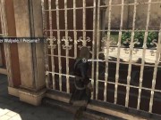 Pirate fun 2 - Screenshot 10 of 16 - Caribbean