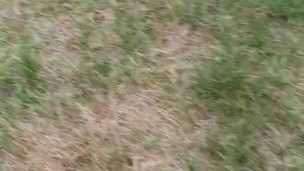 Desperate, wouldn't have made it inside - trans piss