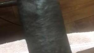 BIG DICK DADDY 