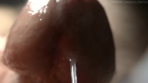 You Can Never Be Too Close.