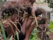 Garlic has ripened in the garden. 13/16