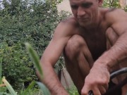 Garlic has ripened in the garden. 15/16