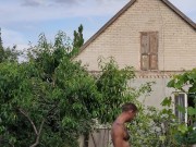 Garlic has ripened in the garden. 2/16