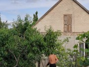 Garlic has ripened in the garden. 3/16