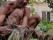 Garlic has ripened in the garden. 9/16