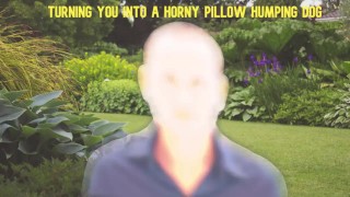 私の枕ハンピング犬になるために魅了された