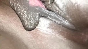 Ebony bbw , fat pretty pussy