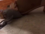 Unknown crush. 11/16