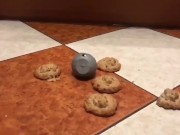 Unknown crush. 14/16