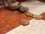 Unknown crush. 16/16