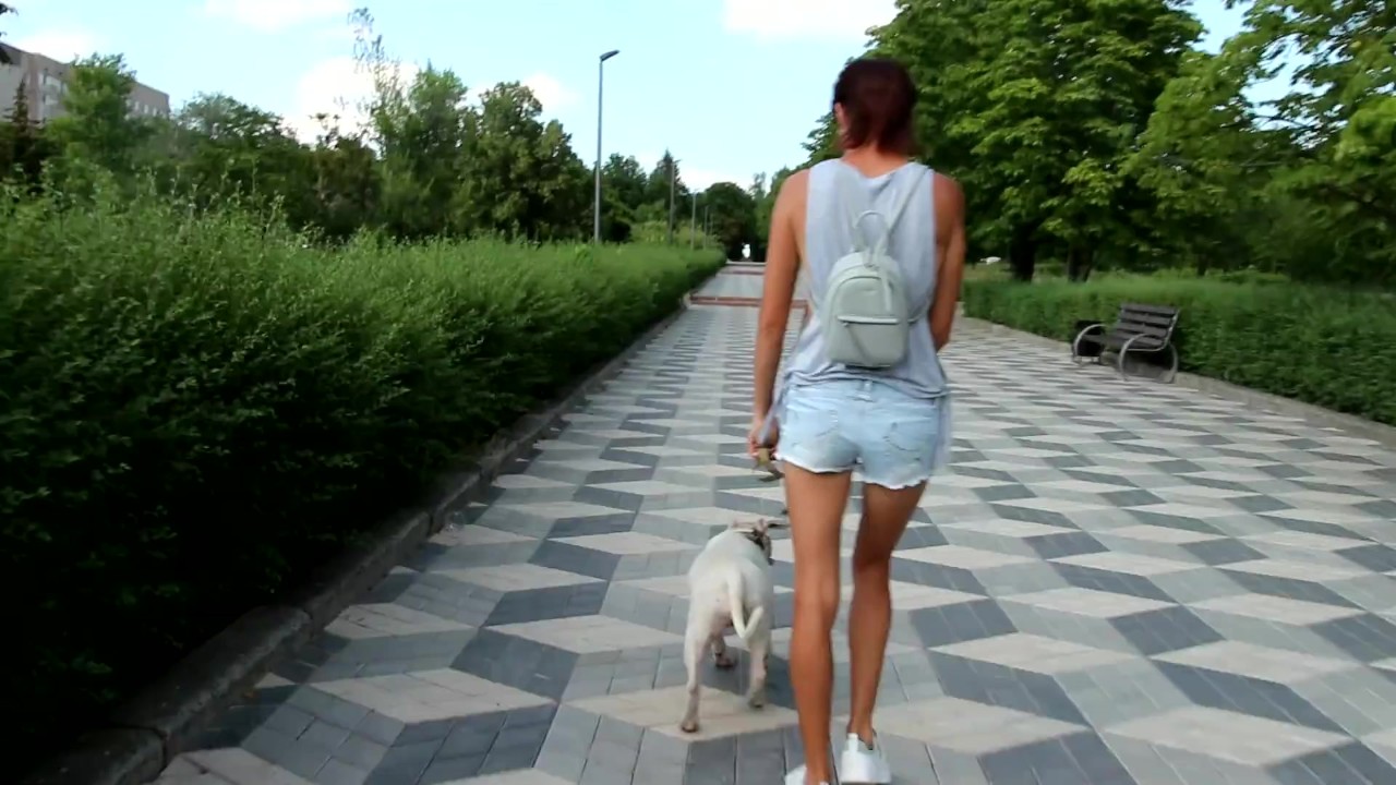 Sexy jeans Shorts Side boob and Nip slip during pitbull walk in the city - Free Sex Video - RedTube