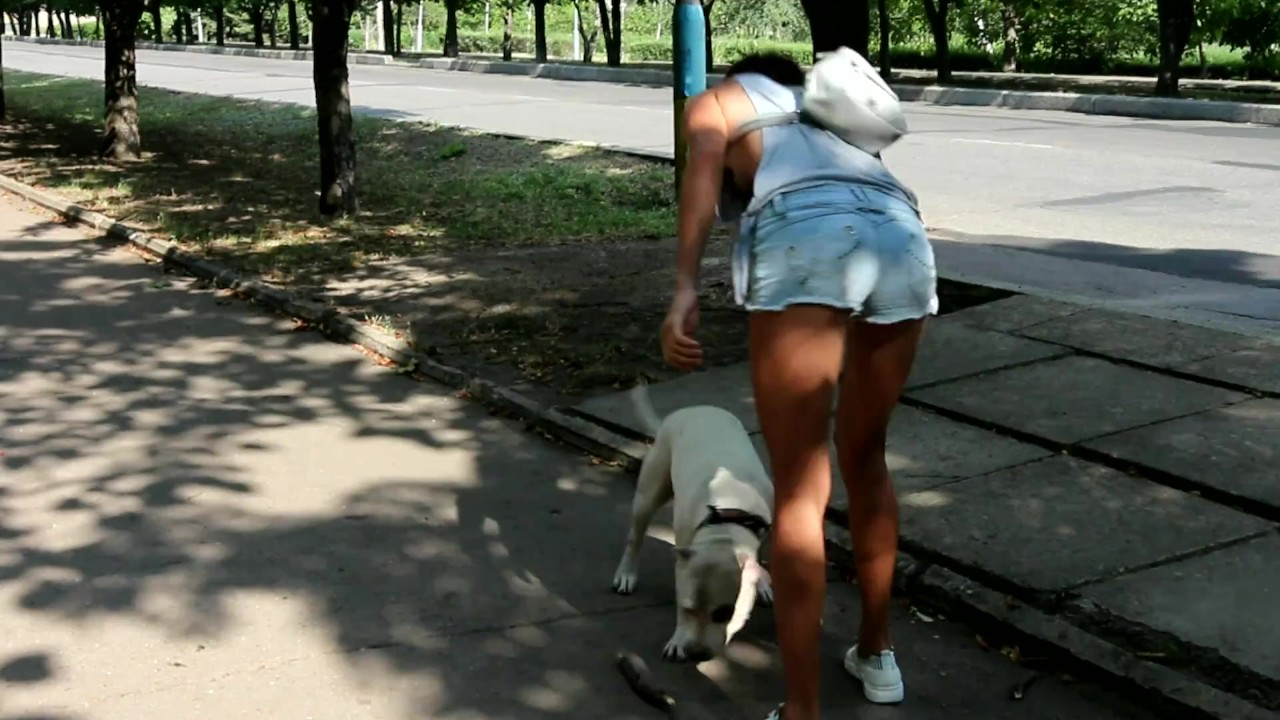 Sexy jeans Shorts Side boob and Nip slip during pitbull walk in the city - Free Sex Video - RedTube