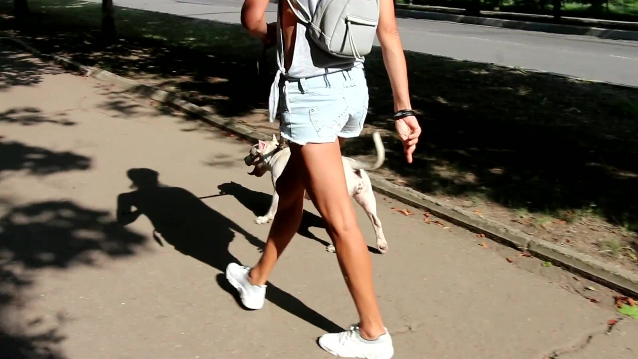 Sexy jeans Shorts Side boob and Nip slip during pitbull walk in the city - Free Sex Video - RedTube