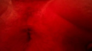 Sir Cocks A Lot xXx Male Porn Star Anal Jerking Off Cumshot Fort Lauderda Florida Amateur escorts