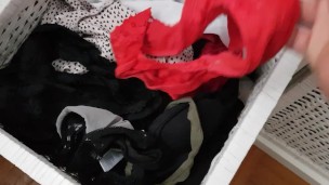 Panty Drawer from step sister - so many panties