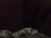 Peek At My Pussy