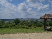 Sex with a beautiful girl in the woods 1/16