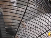 Katerina Hartlova StripTease and Dance in Wind 1/16