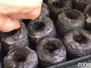 Sticking green thumb into brown holes