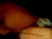 I suck the big cock to a desperate Latino