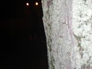 Stefan Steel fuck one hot brunette in the park 1/16