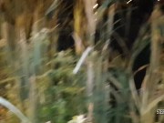 Stefan Steel fuck one hot brunette in the park 5/16