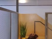 Christy Mack strip tease 15/16