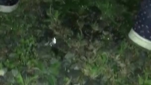Gotta pee
