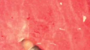 Big Black Dick Fucks Fleshlight
