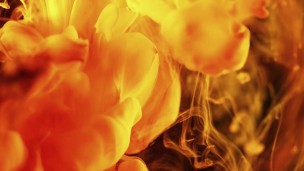 Female breeding mindwash trance